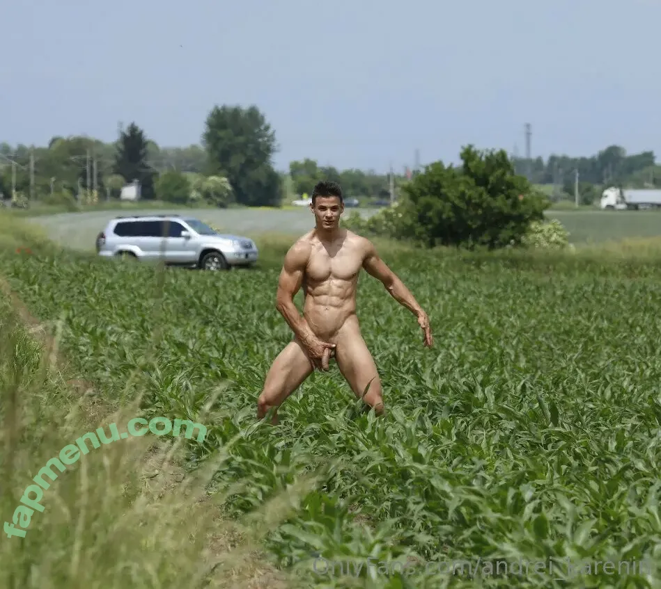 andrei_karenin nude photo #0060 (andrei_karenin)