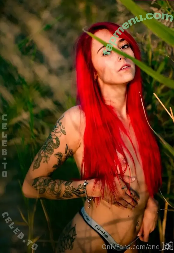Ane_ice nude photo #0017 (annepischke)