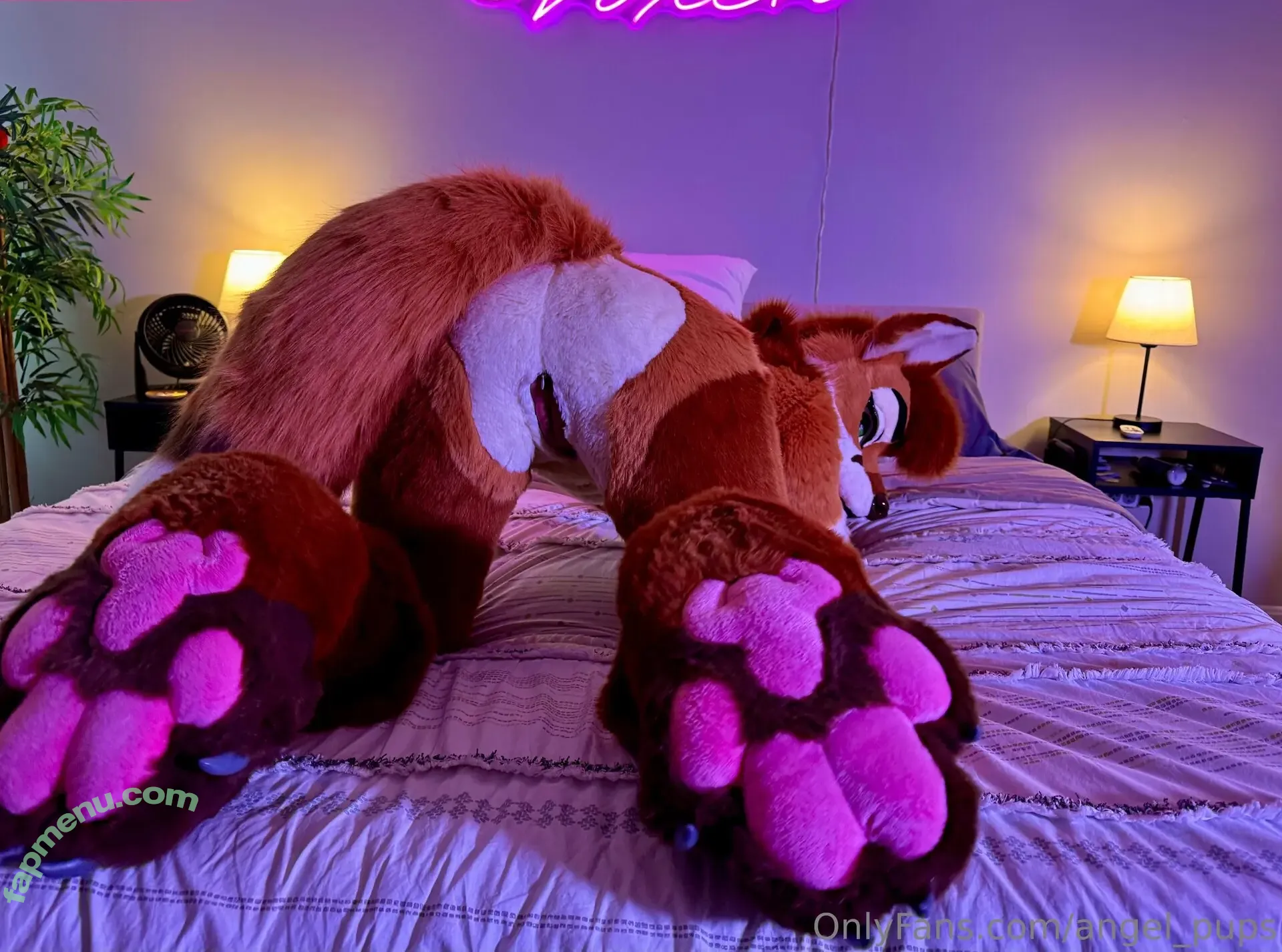 angel_pups nude photo #0251 (angel_pups)