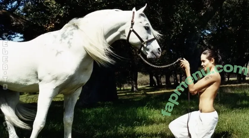 Angelina Jolie nude photo #0953 (Jolie1975 / angelinajolie)