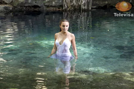 Angelique Boyer / angeliqueboyer nude photo #0063