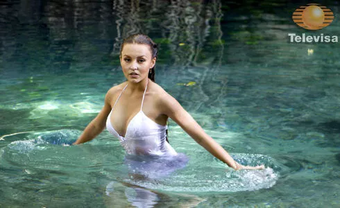 Angelique Boyer / angeliqueboyer nude photo #0068