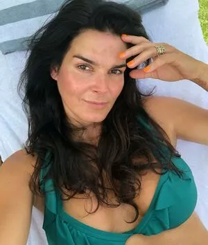 Angie Harmon / angieharmon nude photo #0151