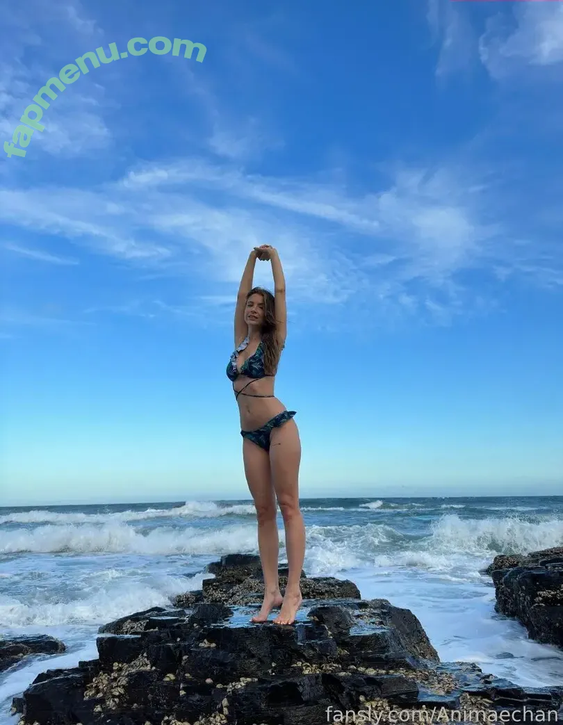 Animaechan nude photo #0447 (Animaechan)