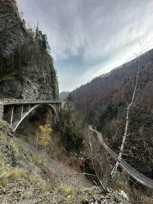 Anisyia / anisyialovee nude photo #0255