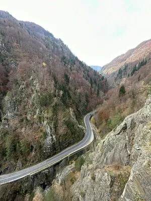 Anisyia / anisyialovee nude photo #0256