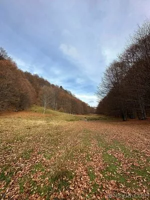 Anisyia / anisyialovee nude photo #0258