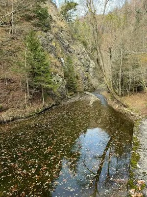 Anisyia / anisyialovee nude photo #0261