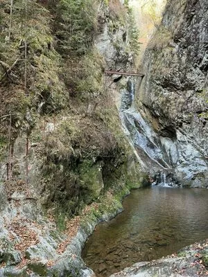 Anisyia / anisyialovee nude photo #0264