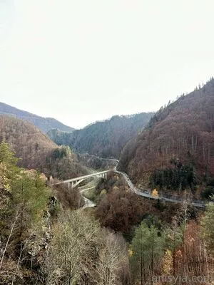 Anisyia / anisyialovee nude photo #0268