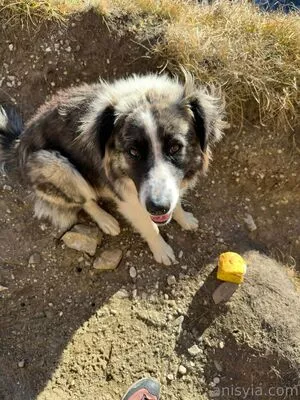 Anisyia / anisyialovee nude photo #0282