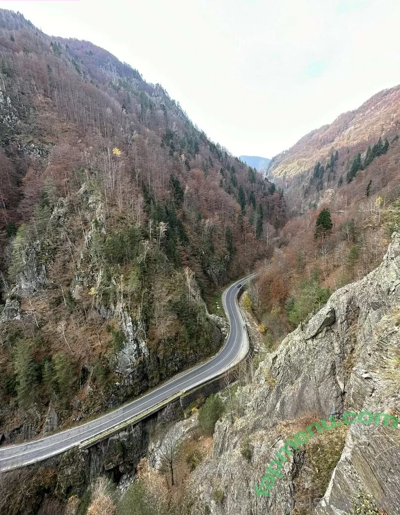 Anisyia nude photo #0256 (anisyialovee)