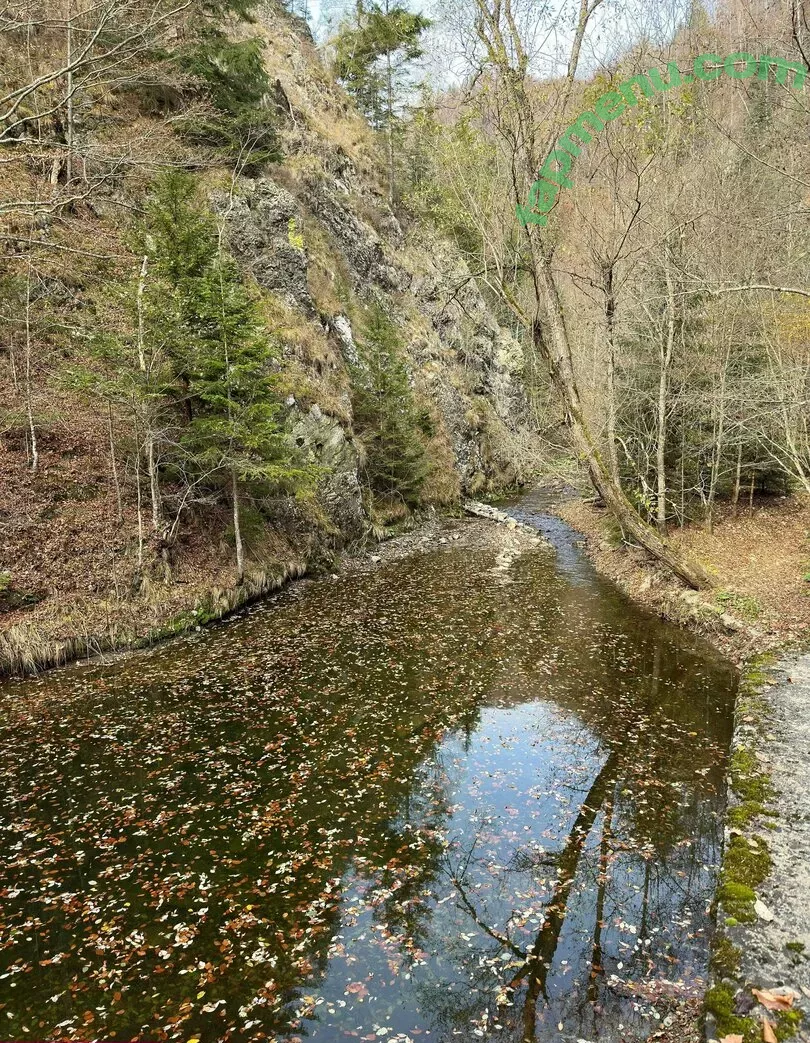 Anisyia nude photo #0261 (anisyialovee)