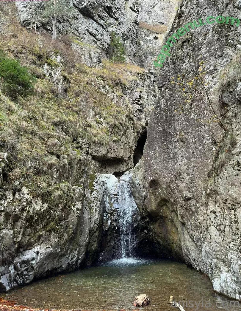 Anisyia nude photo #0262 (anisyialovee)