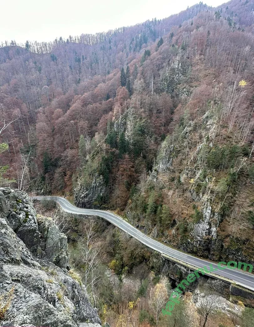 Anisyia nude photo #0266 (anisyialovee)