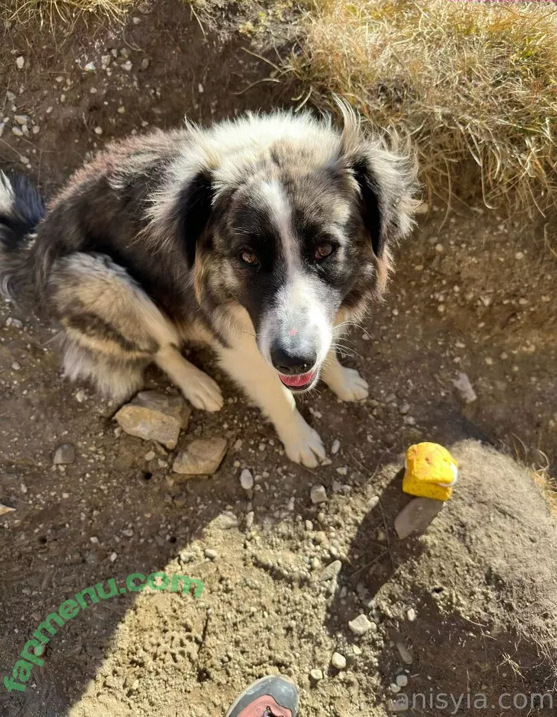 Anisyia nude photo #0282 (anisyialovee)