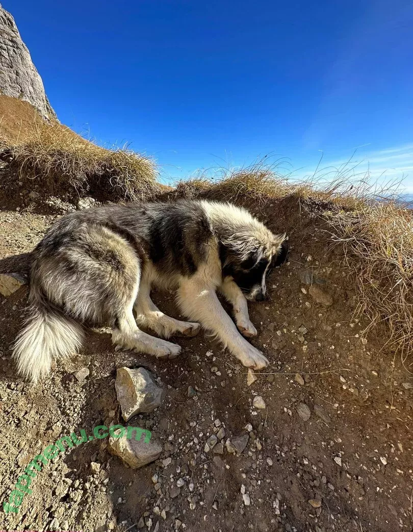 Anisyia nude photo #0283 (anisyialovee)