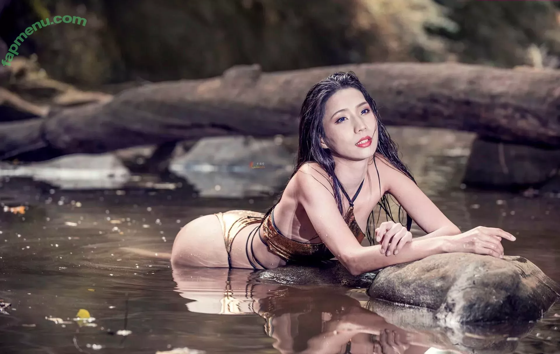 Anita Feifei nude photo #1556 (feifei_11111)