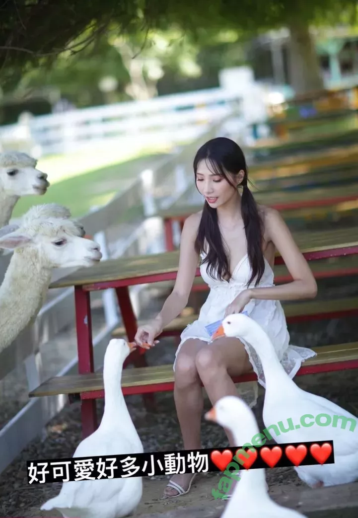 Anita Feifei nude photo #1701 (feifei_11111)