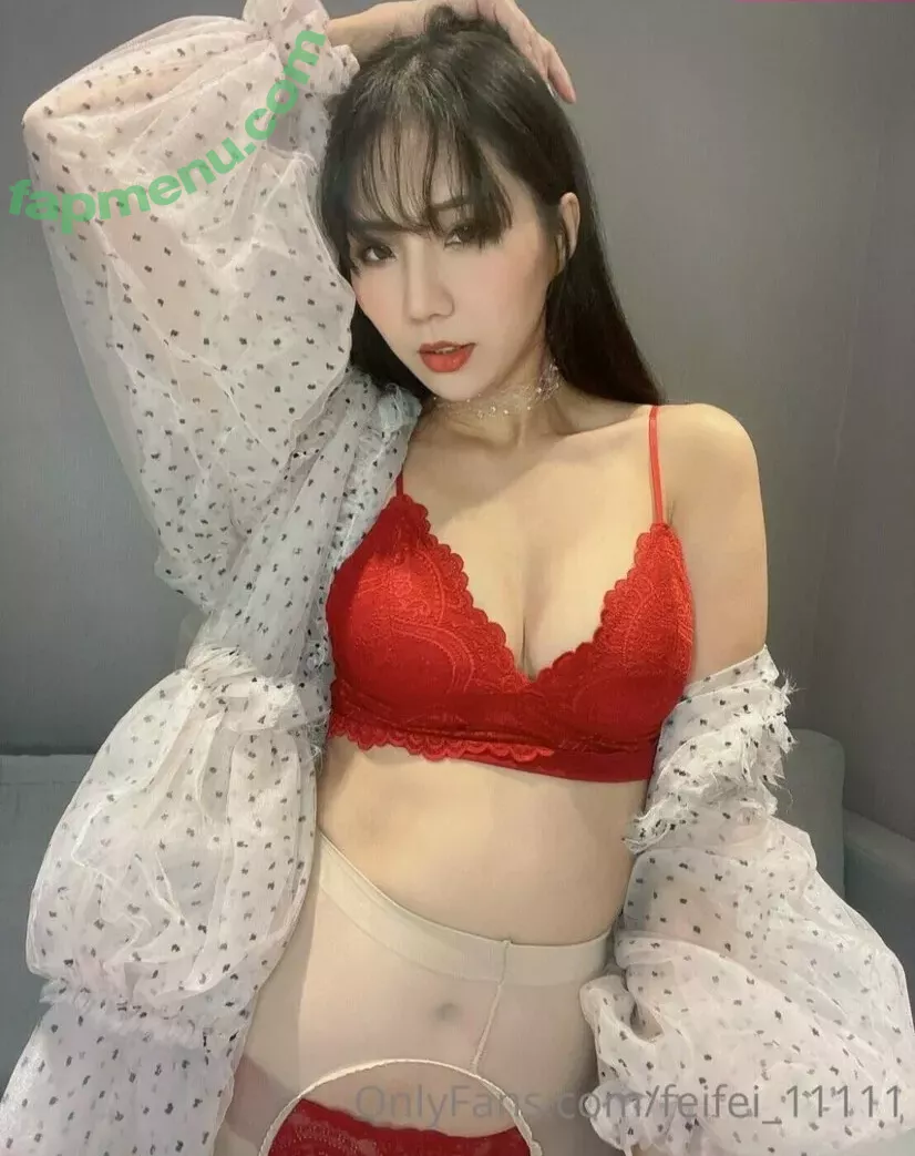 Anita Feifei nude photo #1911 (feifei_11111)