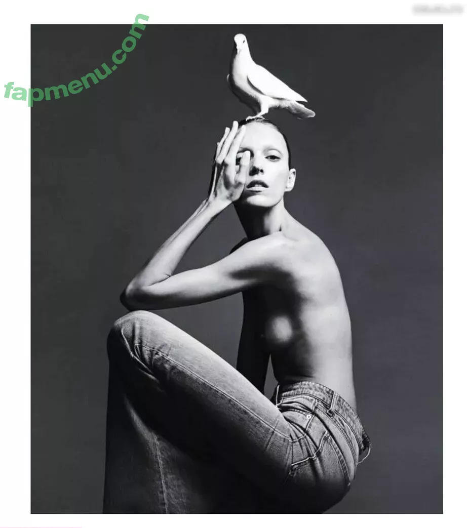 Anja Rubik nude photo #0173 (anja_rubik / anjarubikblog / anjarubikofficialfanpage)