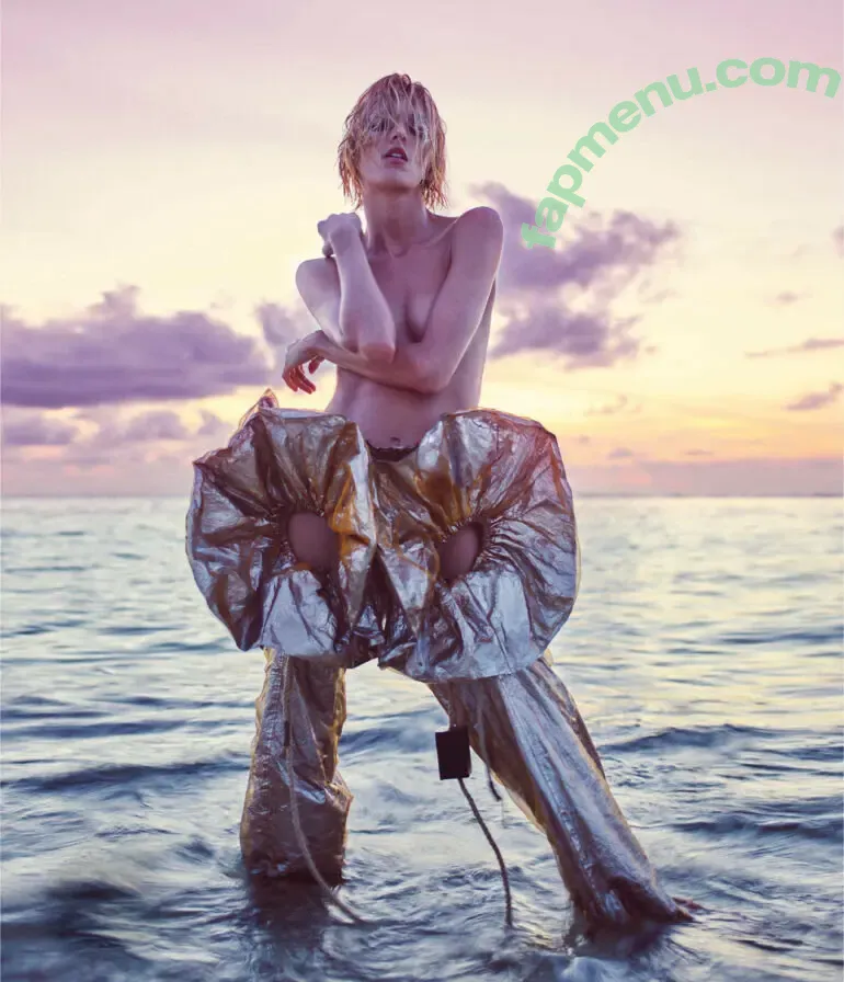 Anja Rubik nude photo #0517 (anja_rubik)