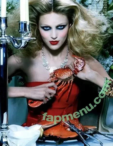 Anja Rubik nude photo #0562 (anja_rubik)