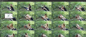 Anne Eden / MDH / anneeden / anneeden_offi / anneeden_official nude photo #0366