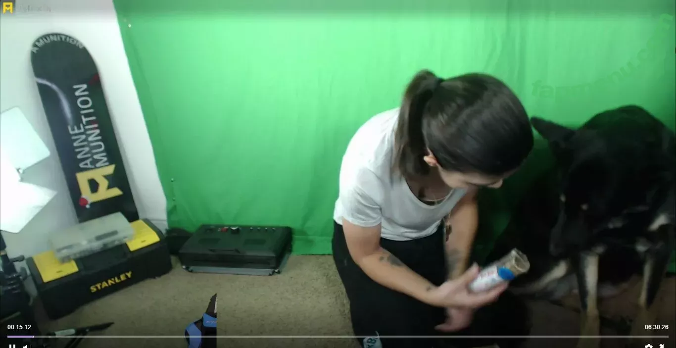 AnneMunition nude photo #0017 (AnneMunition)