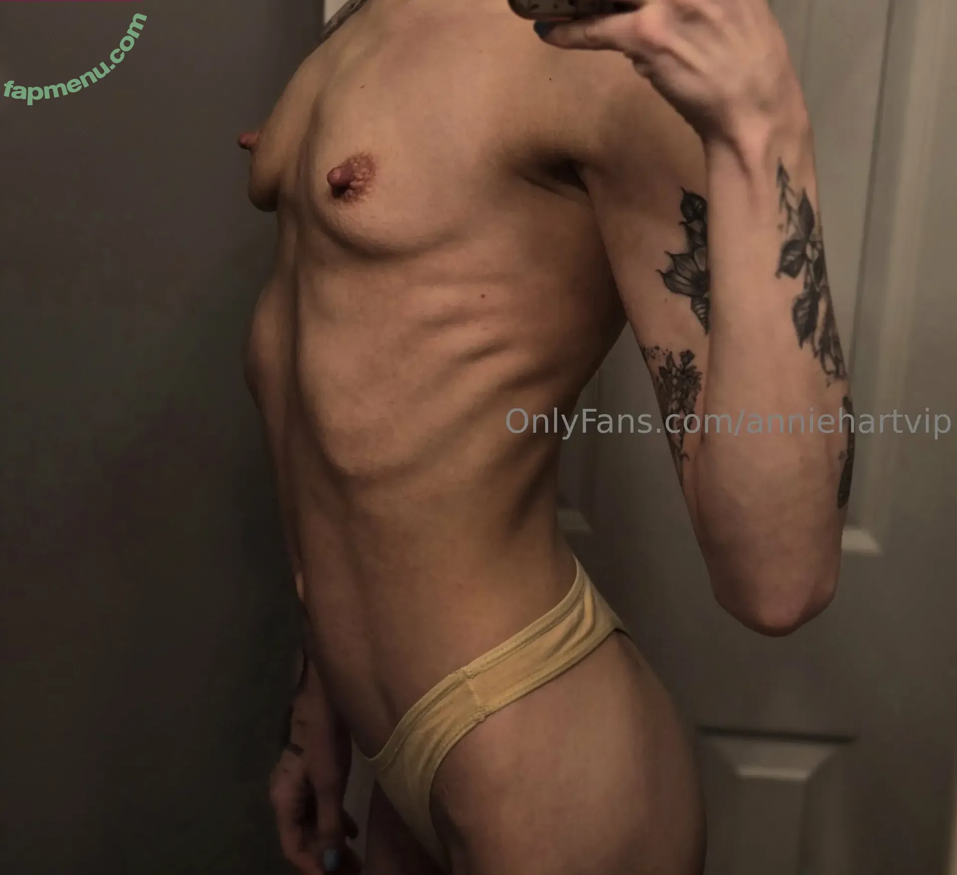 anniehartvip nude photo #0017 (annieharrt)