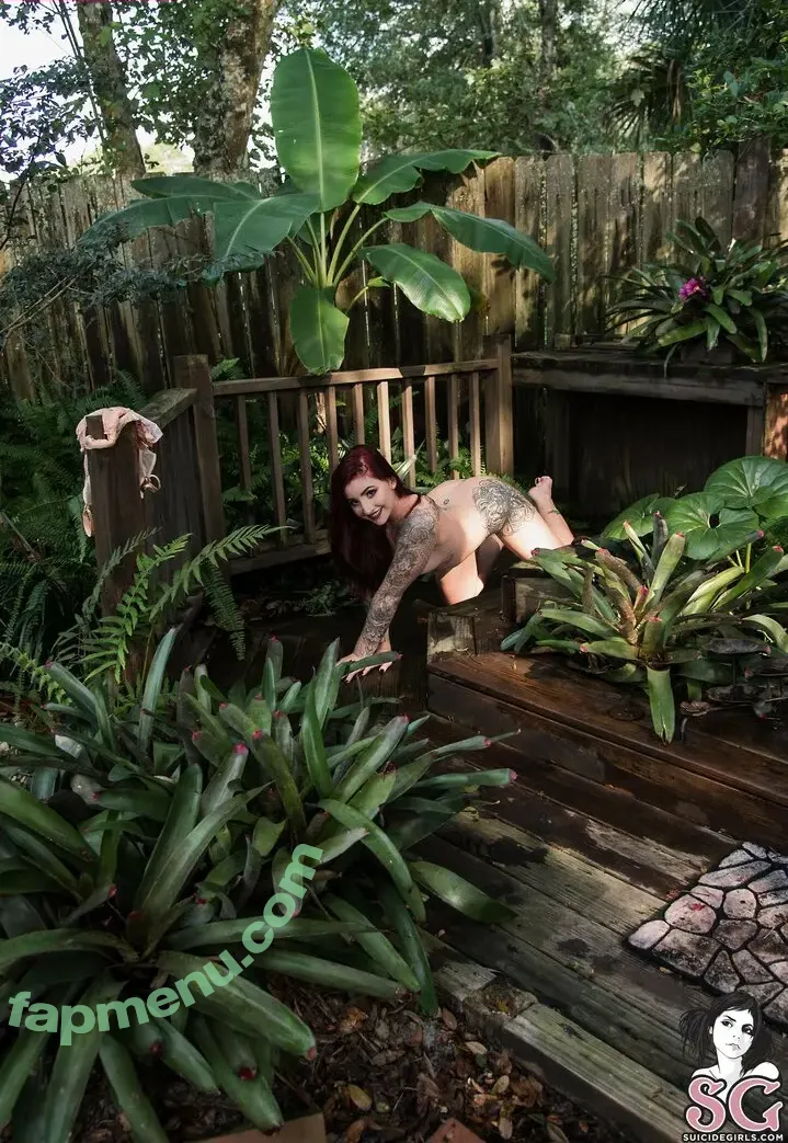 Apex_Suicide nude photo #1181 (Alexandria / Sasha / sasha_alexandria23)