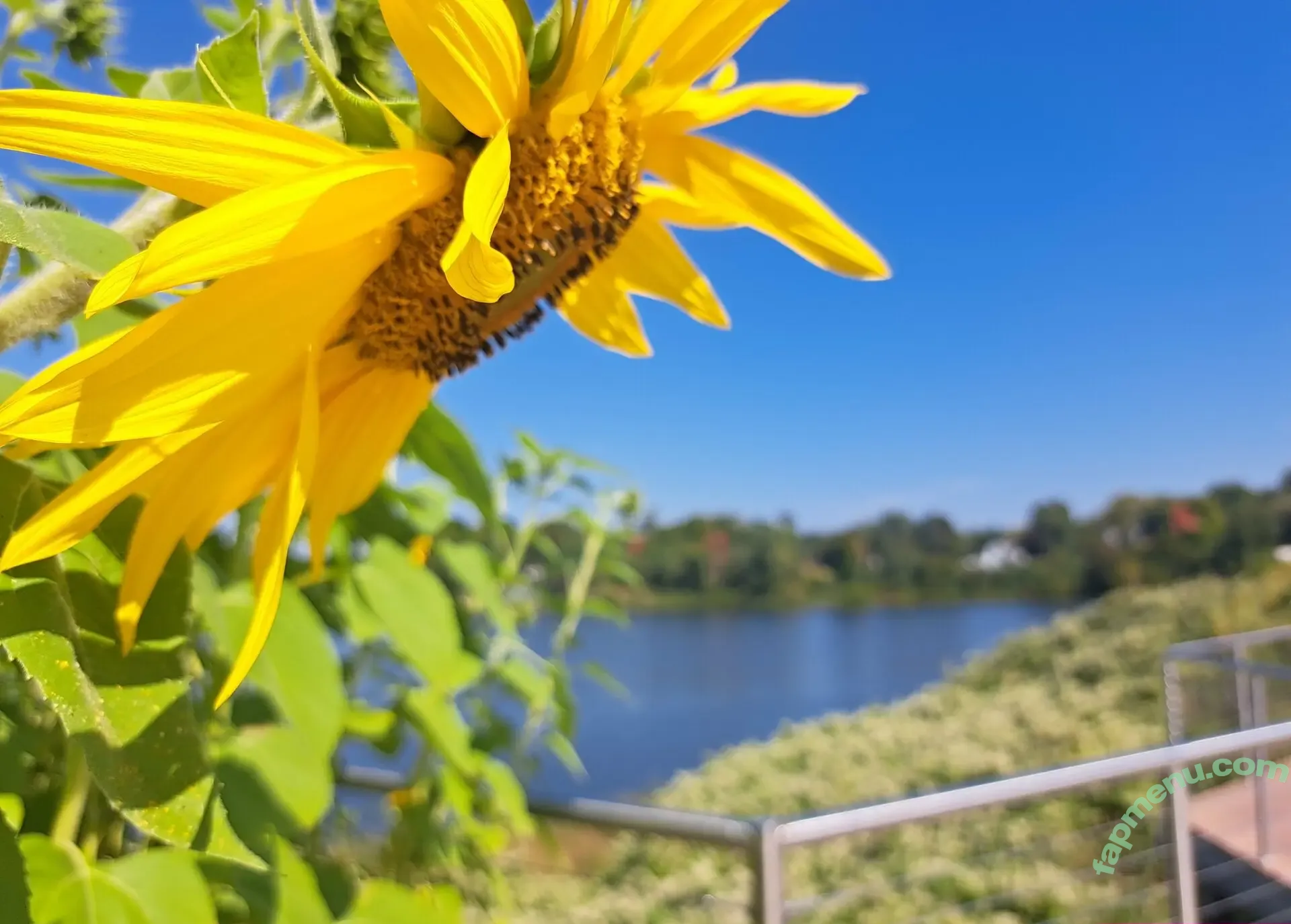 appol_shh nude photo #0066 (appol_shh)