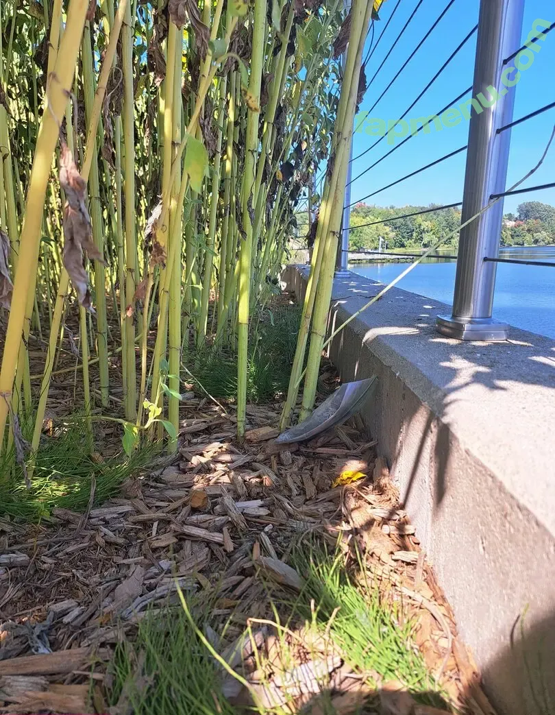 appol_shh nude photo #0068 (appol_shh)