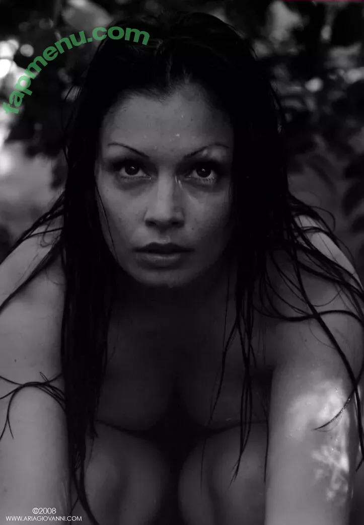 Aria Giovanni nude photo #1419 (Aria Giovanni)