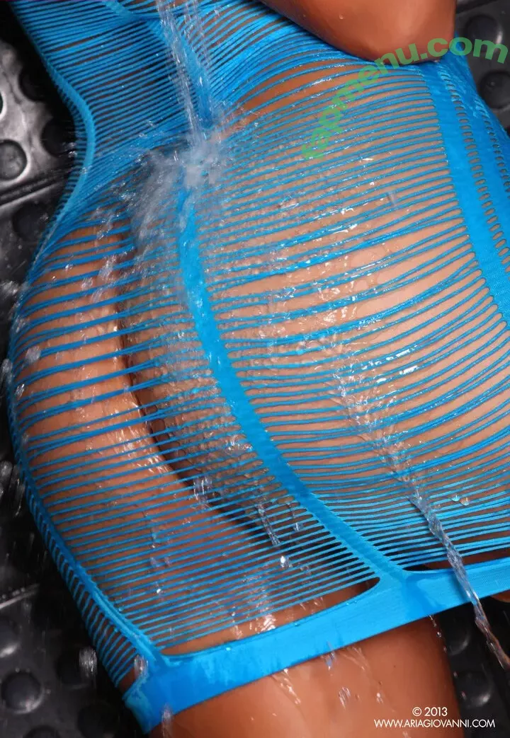 Aria Giovanni nude photo #2255 (Aria Giovanni)