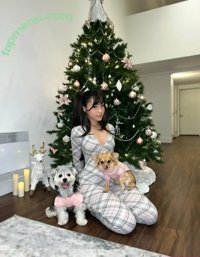 Aria.Lxv nude photo #0002 (Aria Live / Aria.bunny / Bunniixo / xloveariax)