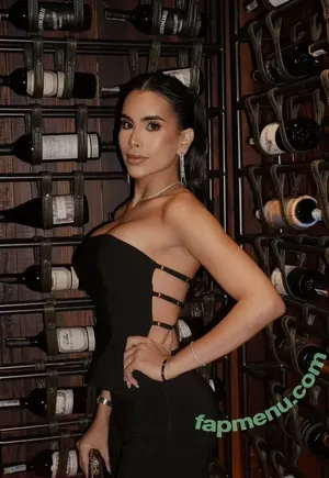 Aria Ramirez / ariaramirezr nude photo #0066