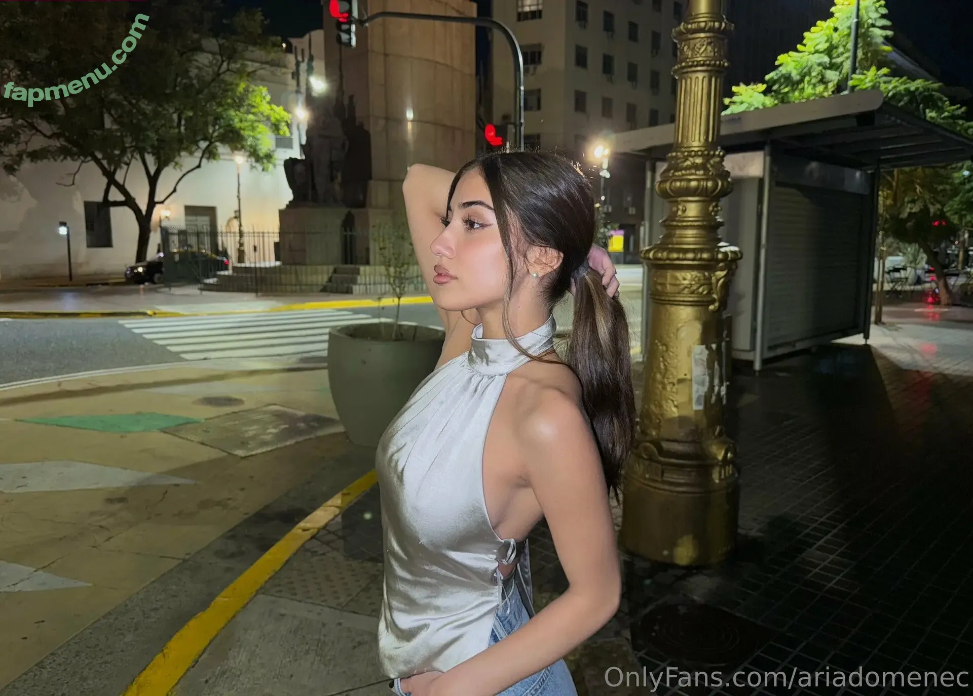 ariadomenec nude photo #0042 (ariadomenec)