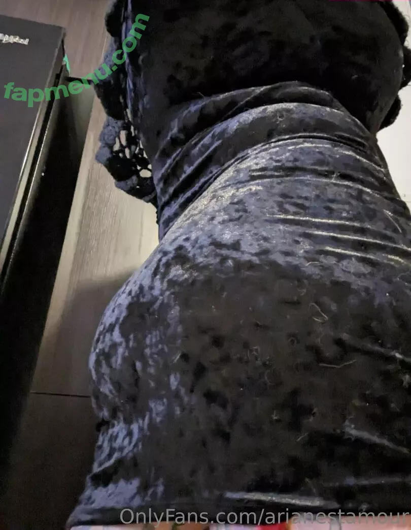 Ariane Saint Amour nude photo #1747 (ariane_st.amour)