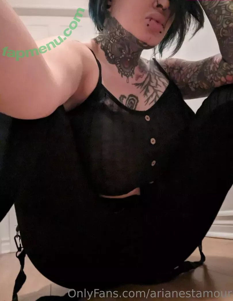 Ariane Saint Amour nude photo #1781 (ariane_st.amour)