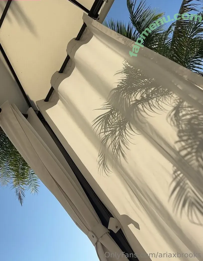 ariaxbrooks nude photo #0017 (ariaxbrookks)