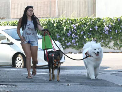 Ariel Winter / arielwinter / arielwinter1 nude photo #1134