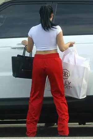 Ariel Winter / arielwinter / arielwinter1 nude photo #1288