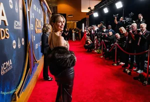 Arielle Kebbel / ariellekebbel nude photo #0160