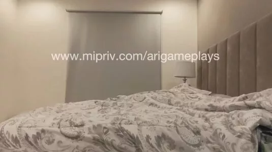 AriGameplay / ari_gameplays / arigameplays nude photo #0003