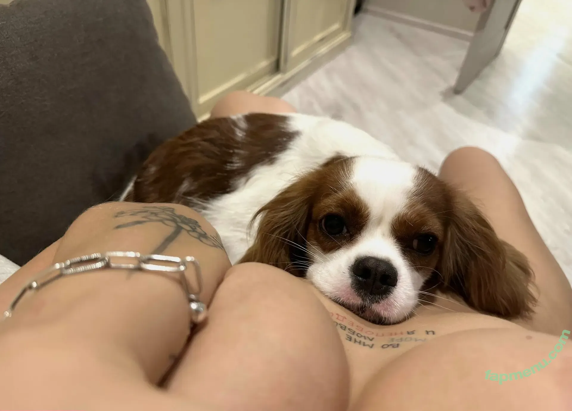 Arinawhynot nude photo #0147 (whynotarisha)