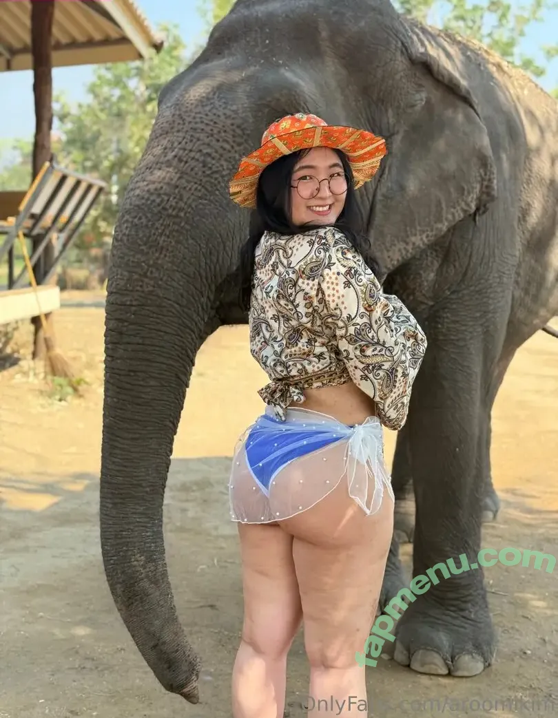 Aroomi Kim nude photo #0074 (aroomikim / aroomikimm)