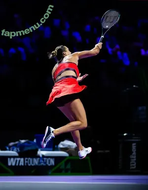 Aryna Sabalenka / arynasabalenka nude photo #0379