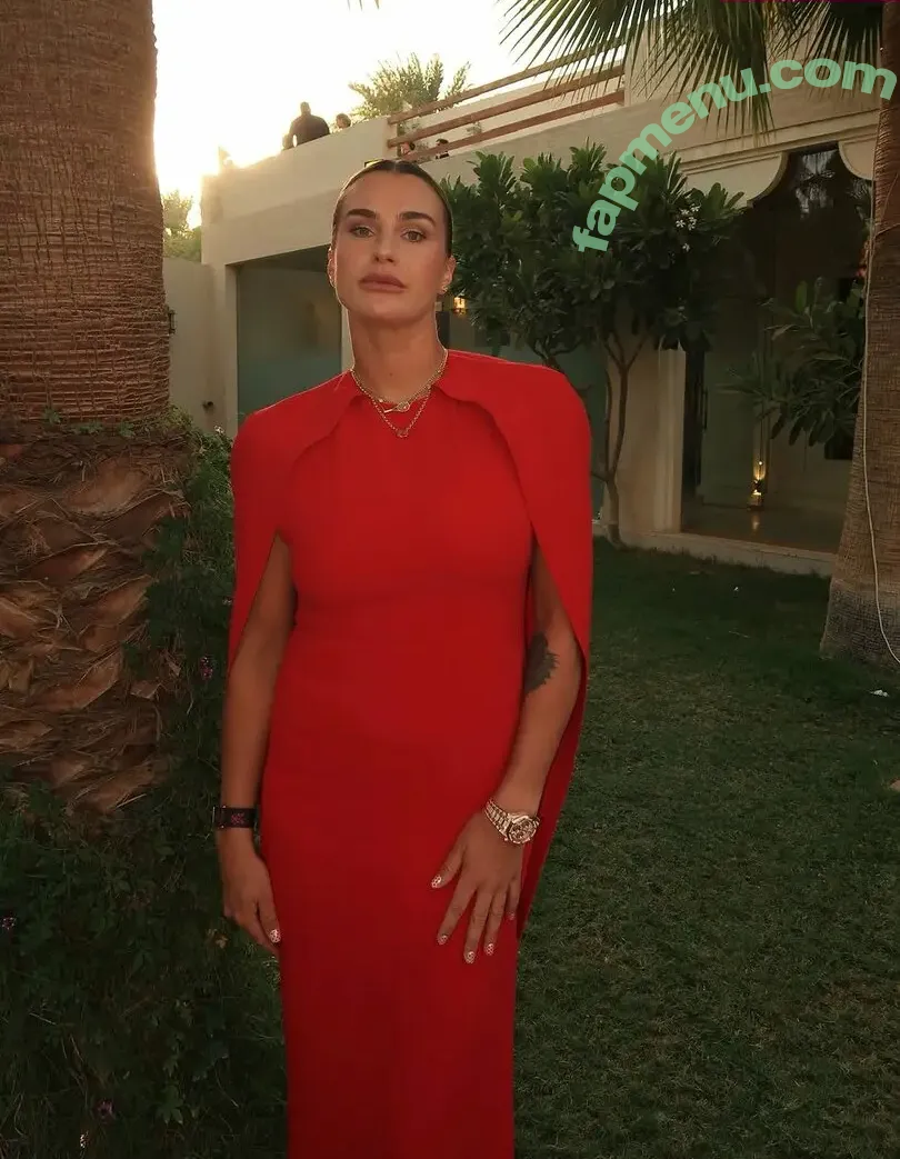 Aryna Sabalenka nude photo #0375 (arynasabalenka)