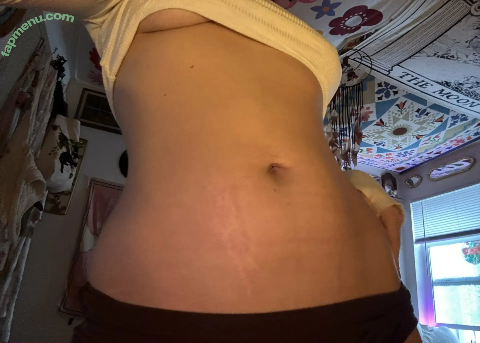 Ash Pac nude photo #0248 (ashleypac / ashphattt222 / u445223395)